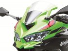 Kawasaki ZX-4RR Ninja KRT